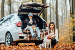 walking couple with dogs autumn forest owners with golden labrador relaxing near car 1 scaled