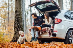 young couple have picnic with their dog near automobile forest scaled