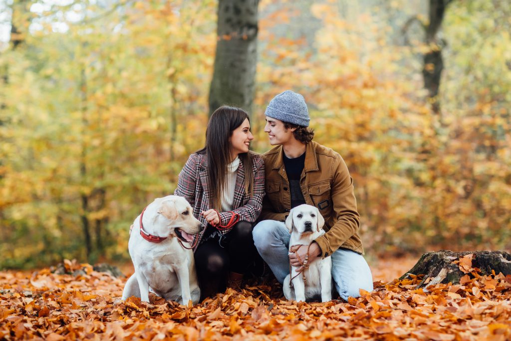 young pretty couple their two golden labrador are walking autumn park scaled