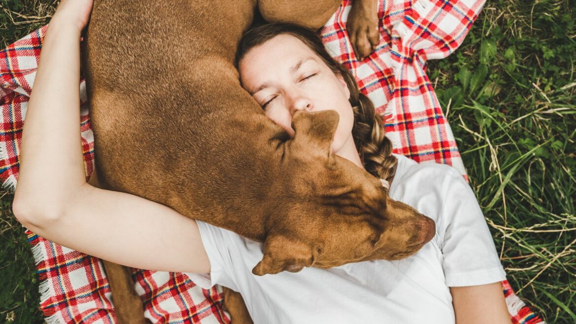 How to Stop Dog Chewing Furniture When Home Alone A Foolproof Guide