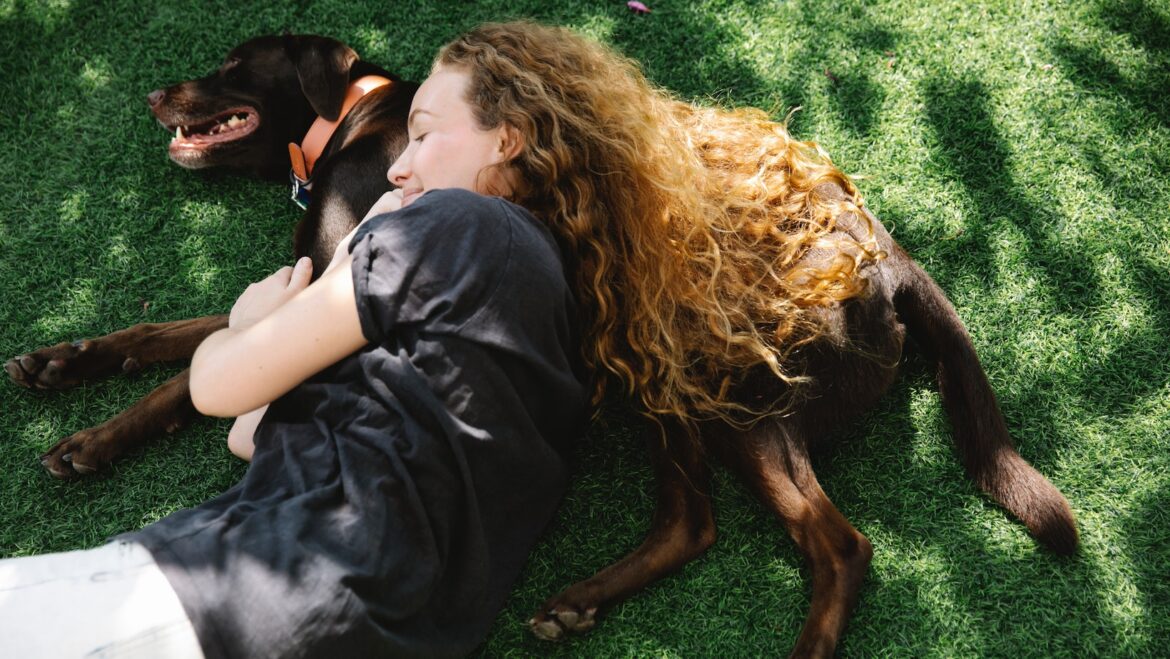 how to train a dog to come